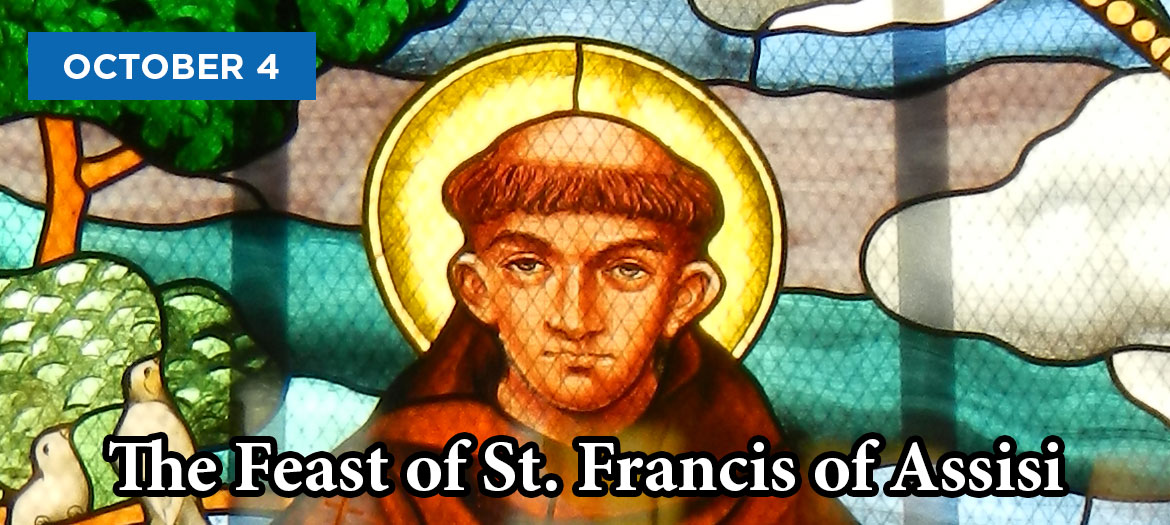 Oct 4 Feast of St Francis
